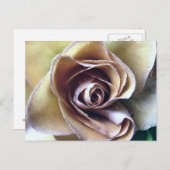 ROSE POSTKARTE (Vorne/Hinten)