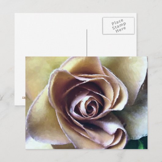 ROSE POSTKARTE (Vorne/Hinten)