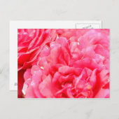 Rose Postkarte (Vorne/Hinten)