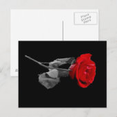 Rose Postkarte (Vorne/Hinten)
