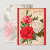 Rose Postkarte (Vorne/Hinten)
