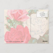 Rose Postkarte (Rückseite)
