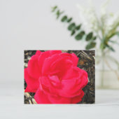 Rose Postkarte (Stehend Vorderseite)