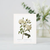 Rose Postkarte (Stehend Vorderseite)