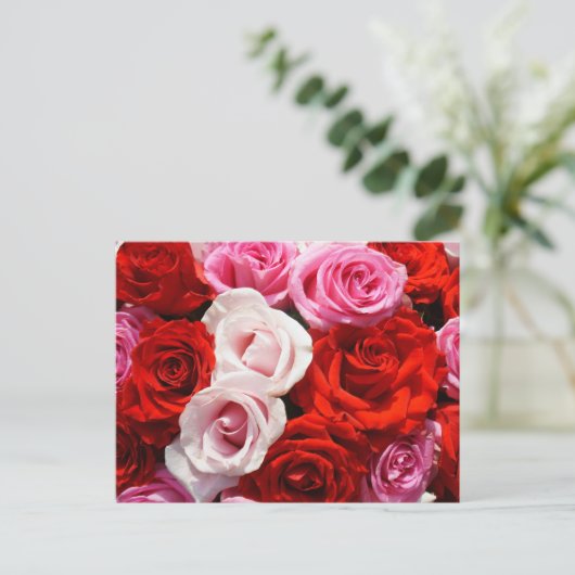 Rose Postkarte (Stehend Vorderseite)