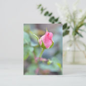 Rose Postkarte (Stehend Vorderseite)