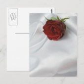 Rose Postkarte (Vorne/Hinten)