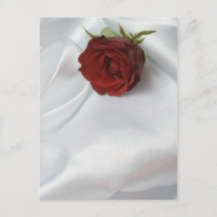Rose Postkarte