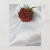 Rose Postkarte (Vorderseite)