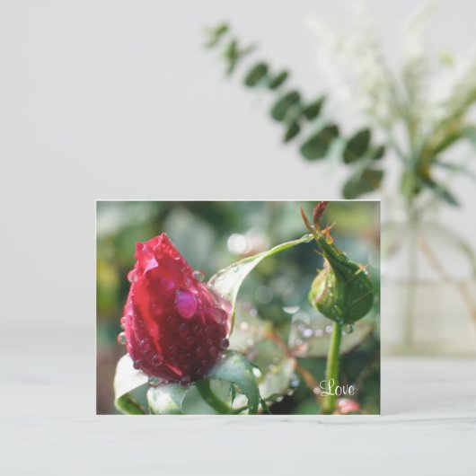 Rose Postkarte (Stehend Vorderseite)