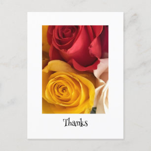 Rose Postkarte