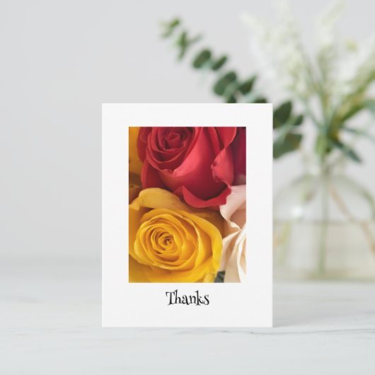 Rose Postkarte (Stehend Vorderseite)