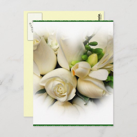 Rose_ Postkarte (Vorne/Hinten)