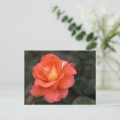 Rose Postkarte (Stehend Vorderseite)