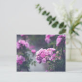 Rose Postkarte (Stehend Vorderseite)