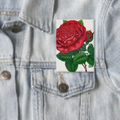 Rose Print Rochester Lithographing and Printing Co Button (Insitu)