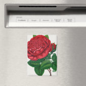 Rose Print Rochester Lithographing and Printing Co Magnet (In Situ (Geschirrspüler))
