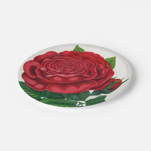 Rose Print Rochester Lithographing and Printing Co Pappteller (Schrägansicht)