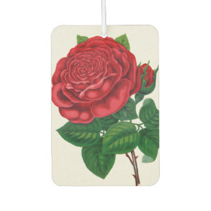 Rose Print Rochester Lithographing und Druckerei Autolufterfrischer