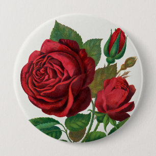 Rose Print Rochester Lithographing und Druckerei Button
