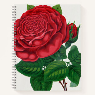 Rose Print Rochester Lithographing und Druckerei C Notizblock