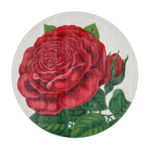 Rose Print Rochester Lithographing und Druckerei C Schneidebrett