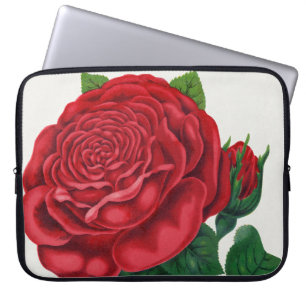 Rose Print Rochester Lithographing und Druckerei G Laptopschutzhülle