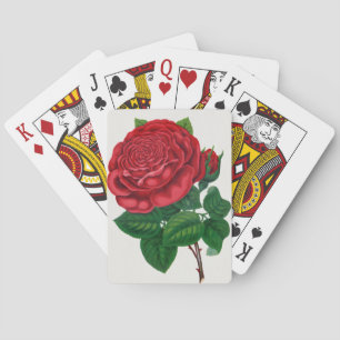 Rose Print Rochester Lithographing und Druckerei G Spielkarten