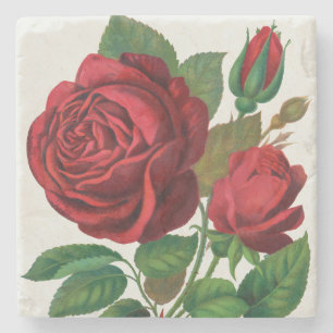Rose Print Rochester Lithographing und Druckerei G Steinuntersetzer