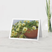 Rose Purslane, Sukkulente blühende Pflanze Karte (Vorderseite)