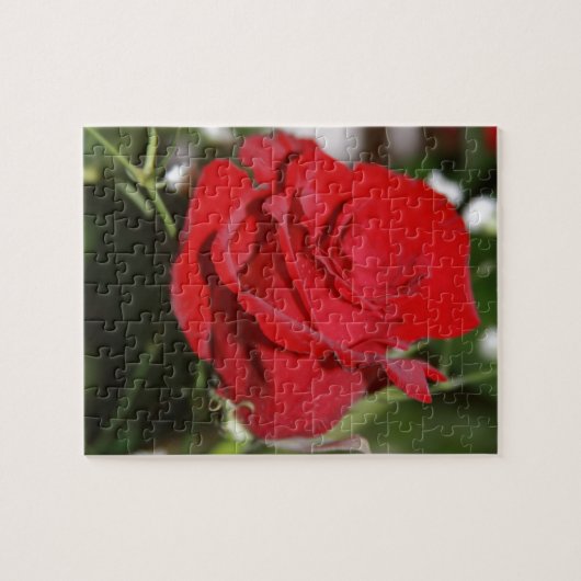 Rose Puzzle (Horizontal)