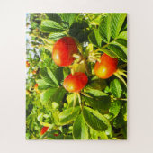 Rose Puzzle (Vertikal)
