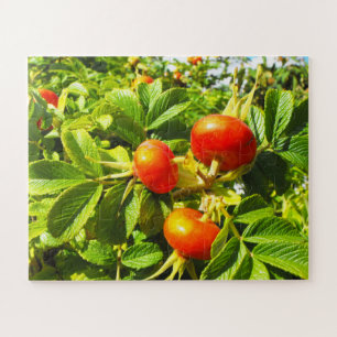 Rose Puzzle