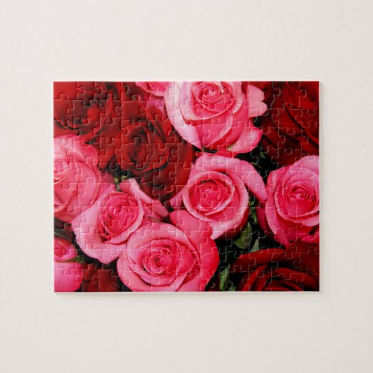 Rose, Puzzle in Rosa und Rot-Puzzle (Horizontal)