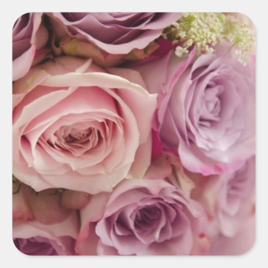 Rose Quadratischer Aufkleber (Vorderseite)