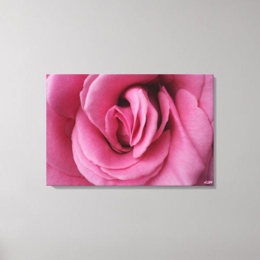 Rose Queen Romance II Stretched Canvas Print Leinwanddruck (Vorderseite)