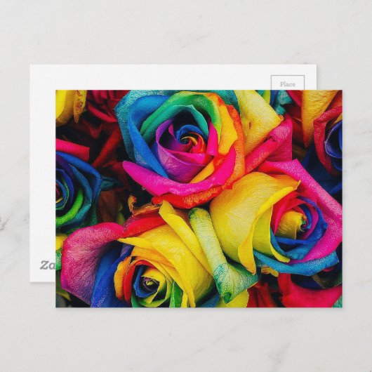 Rose Rainbow Postkarte (Vorne/Hinten)