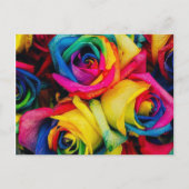 Rose Rainbow Postkarte (Vorderseite)