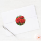 ROSE Red Beautiful Rose Blume Aufkleber (Umschlag)