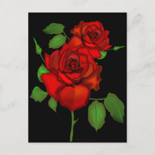 Rose Red Illustration Postkarte