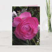 Rose Red. Karte (Vorderseite)