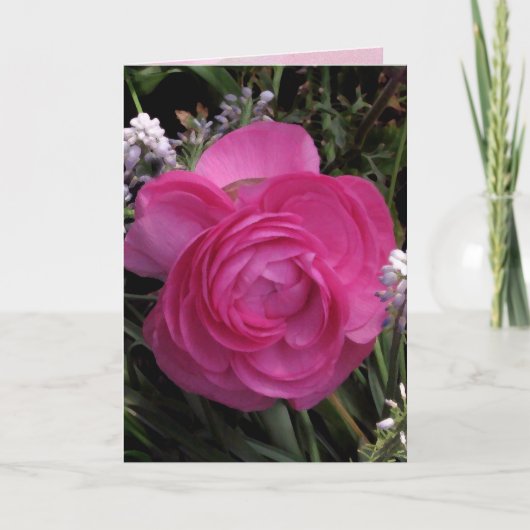 Rose Red. Karte (Vorderseite)