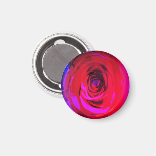 Rose Red Miami, Magnet (Vorderseite/Rückseite)
