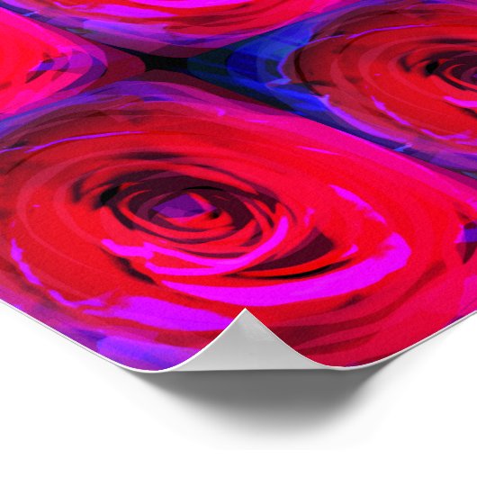 Rose Red Miami, Poster (Ecke)