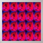 Rose Red Miami, Poster (Vorne)