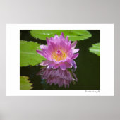 Rose Reflektion Poster (Vorne)