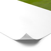 Rose Reflektion Poster (Ecke)