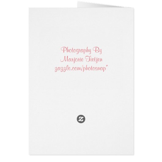 Rose Reflektionen Danke Karte (Hinten)