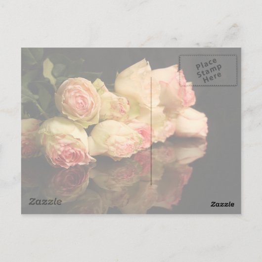 Rose Reflektionen Postkarte (Rückseite)