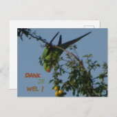 Rose-Ringed Parakeet Vielen Dank Postcard Postkarte (Vorne/Hinten)